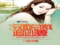 西施犬长毛打理 每日梳毛时间解析